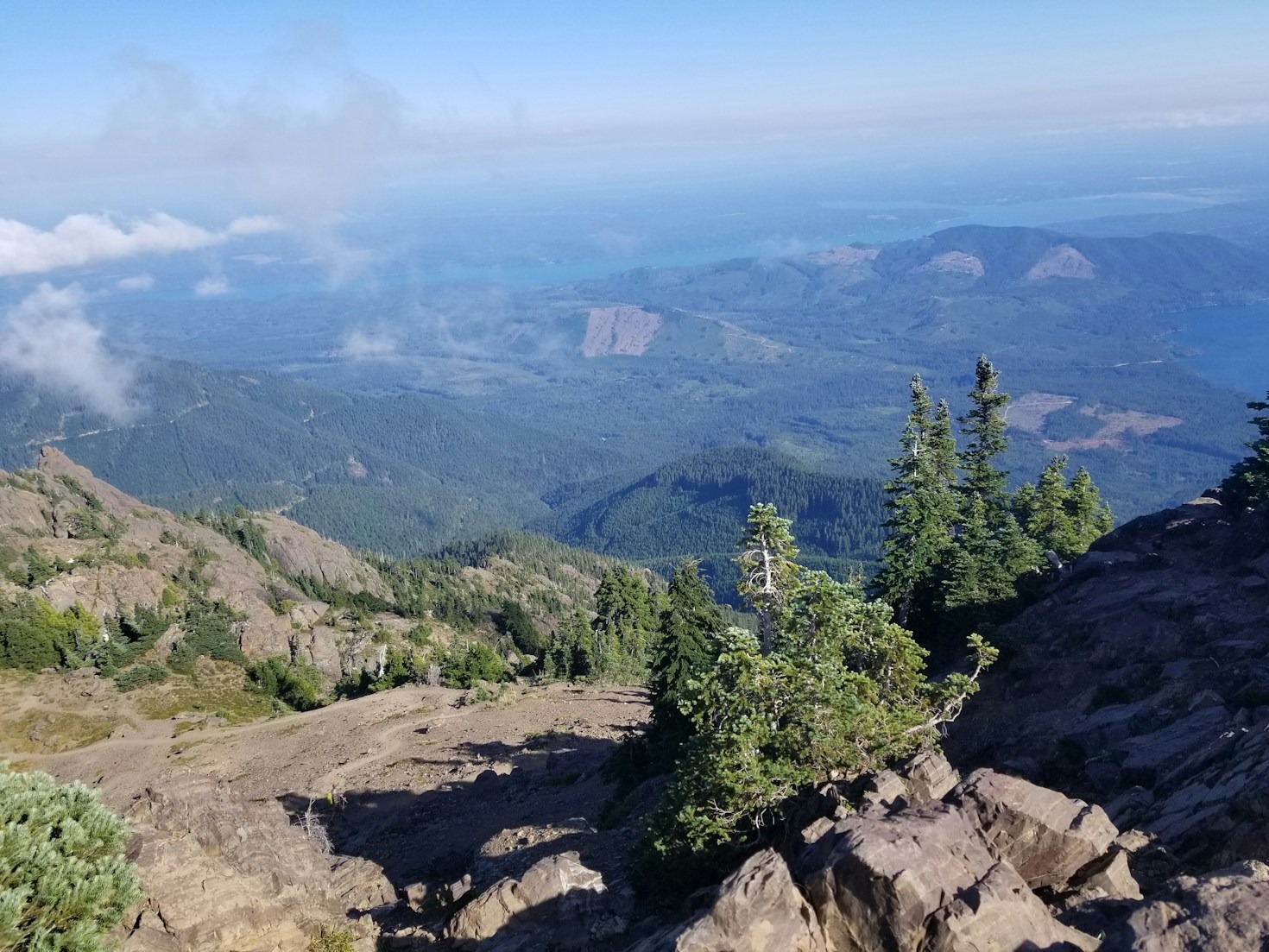 Top 5 Preservation Tips for Brinnon Residents