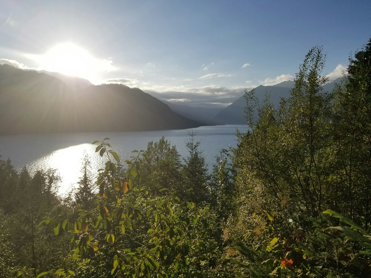 How to Get Involved in Brinnon’s Development